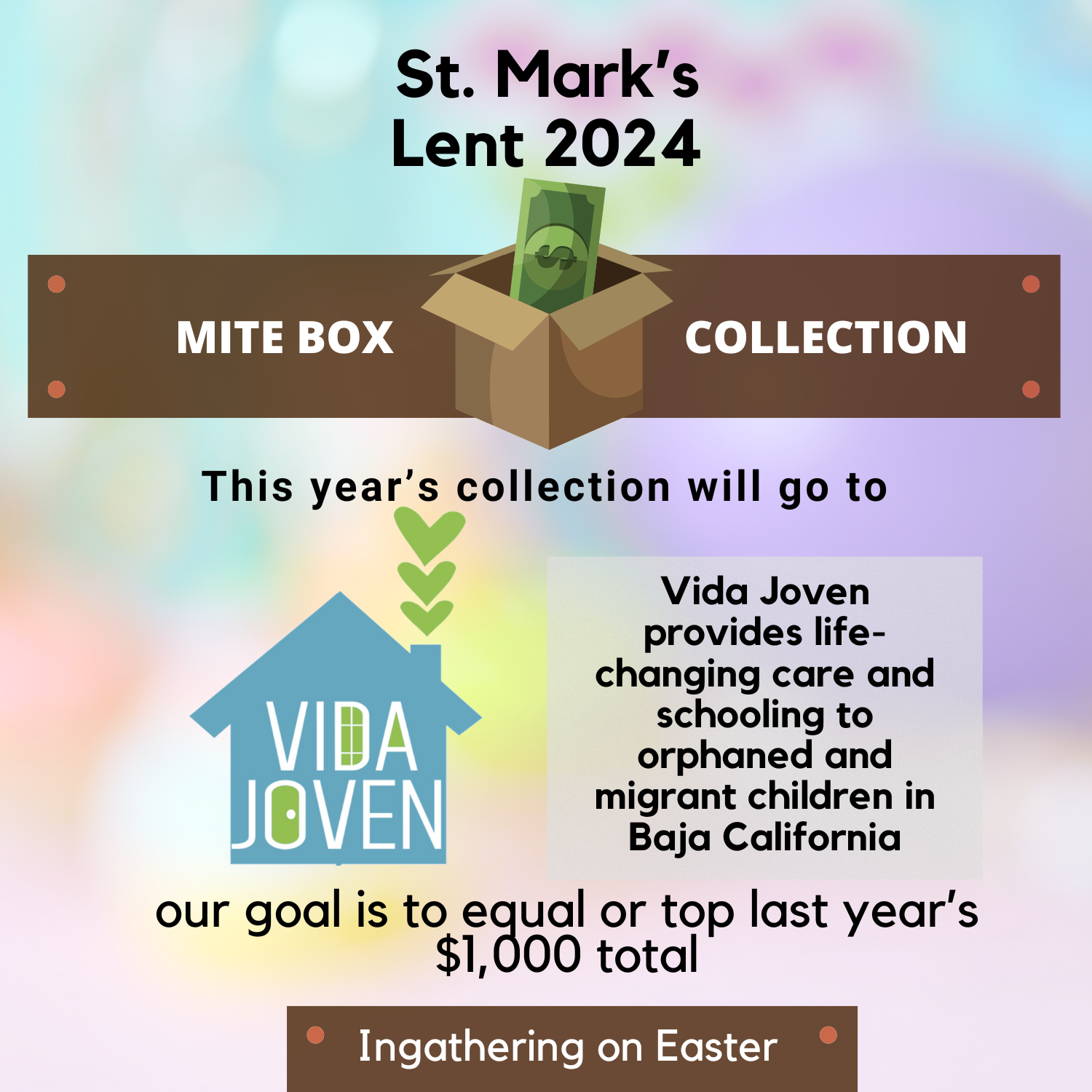 Lenten Mite Box campaign benefitting Vida Joven